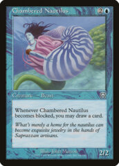 Chambered Nautilus - Foil